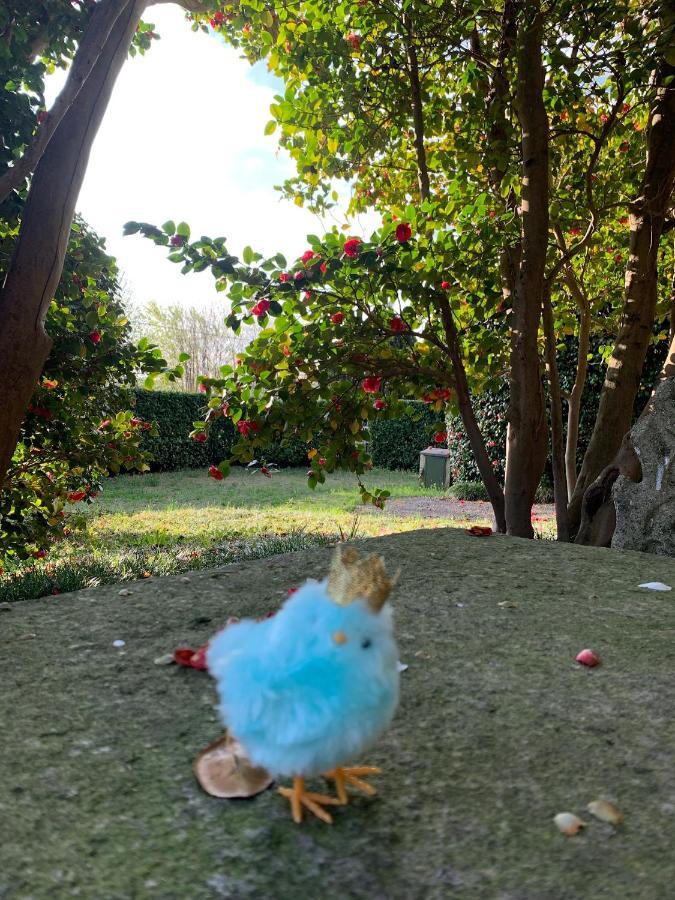 La Mia Casa Sul Con Vista Mozzafiato * Belgirate