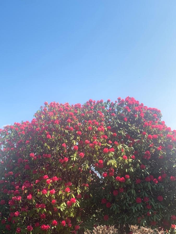La Mia Casa Sul Con Vista Mozzafiato * Belgirate