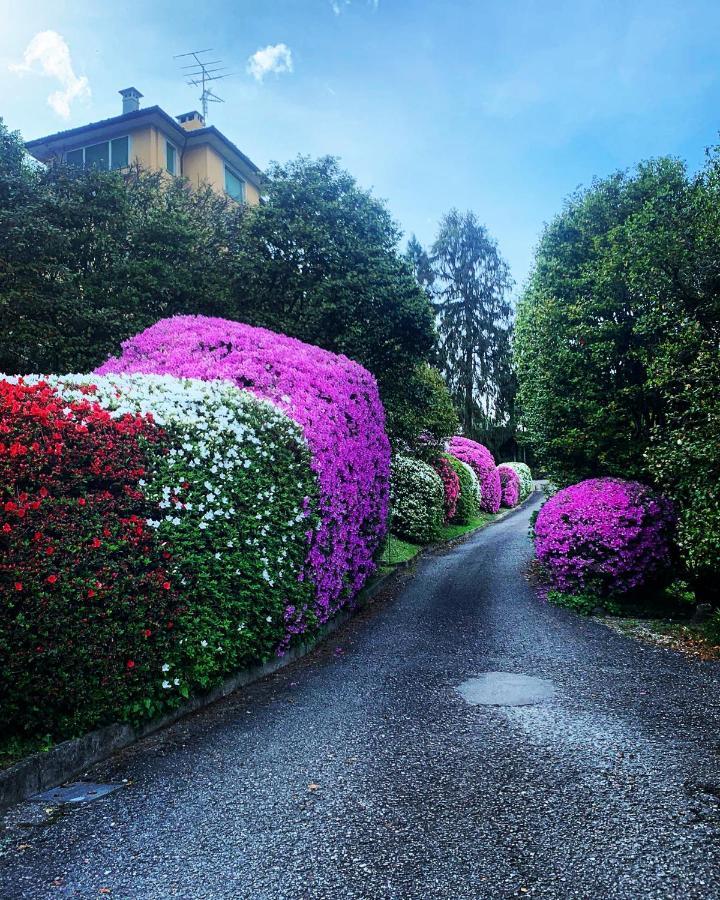 La Mia Casa Sul Con Vista Mozzafiato * Belgirate